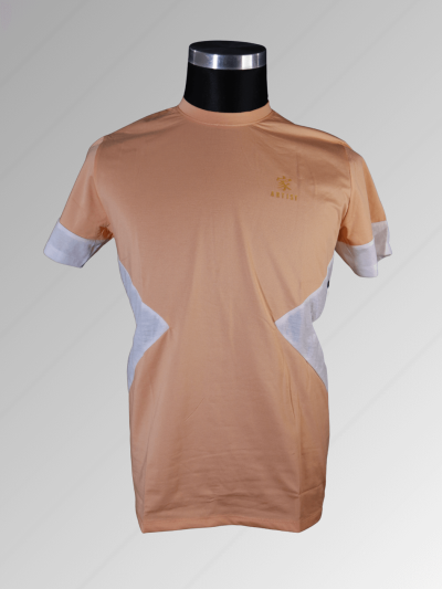 Artist T-Shirt