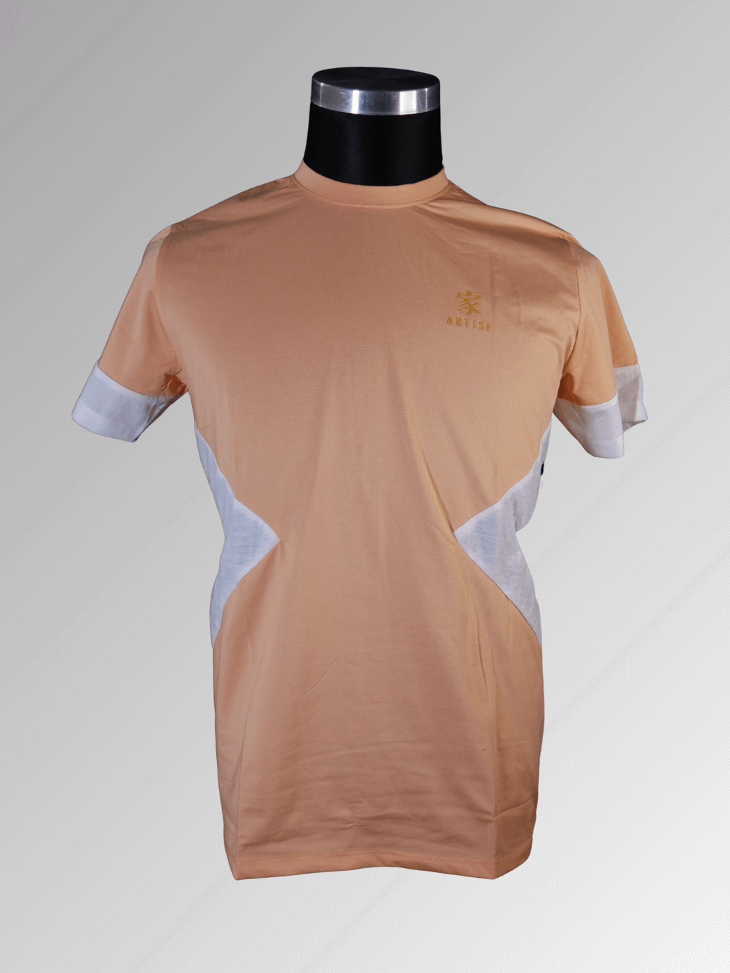 Artist T-Shirt